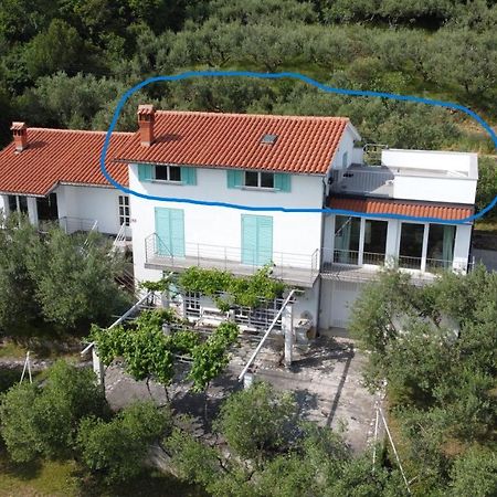 House Among Olive Trees With A Sea View 1 Apartment Ankaran Exterior photo