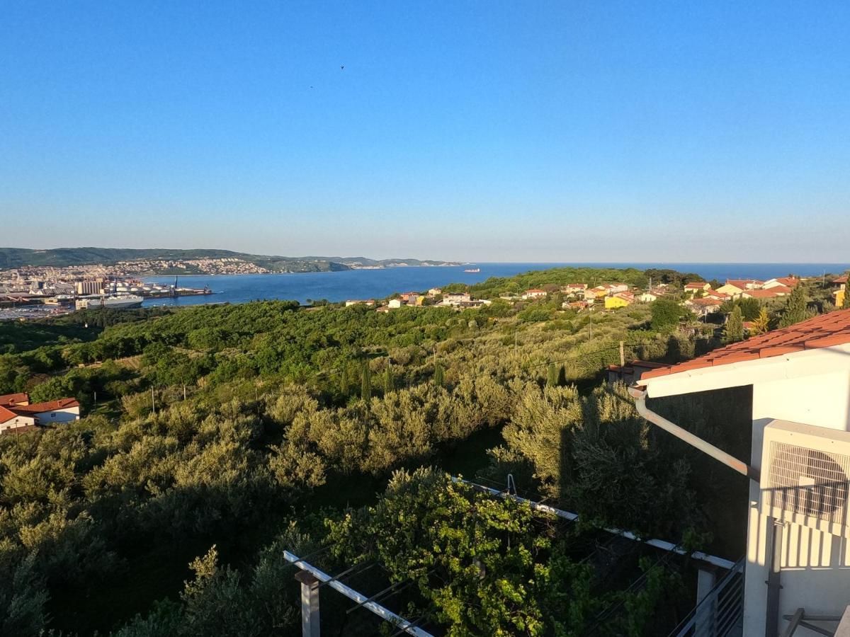 House Among Olive Trees With A Sea View 1 Apartment Ankaran Exterior photo