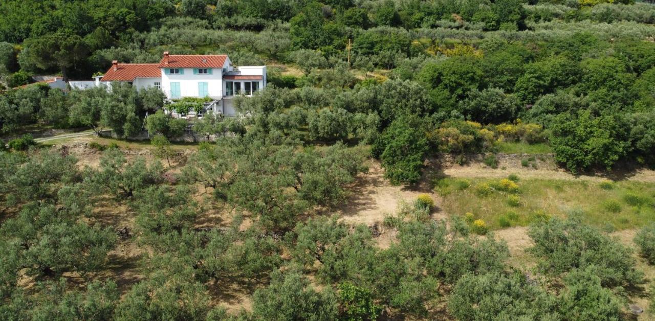 House Among Olive Trees With A Sea View 1 Apartment Ankaran Exterior photo