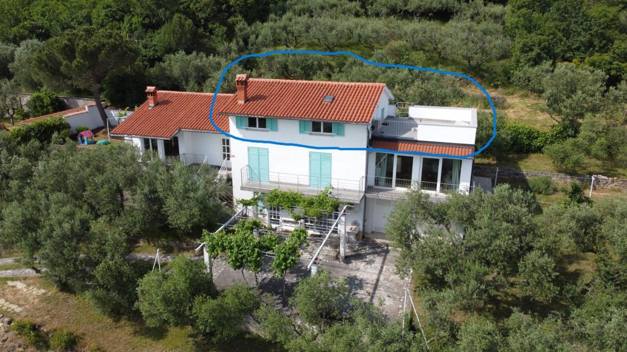 House Among Olive Trees With A Sea View 1 Apartment Ankaran Exterior photo