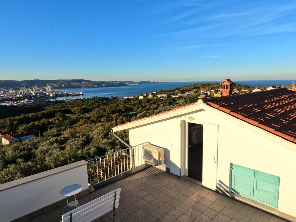 House Among Olive Trees With A Sea View 1 Apartment Ankaran Exterior photo